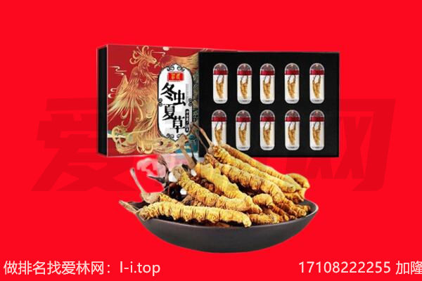 重庆忠县回收虫草.jpg